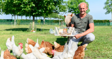 Bioboer